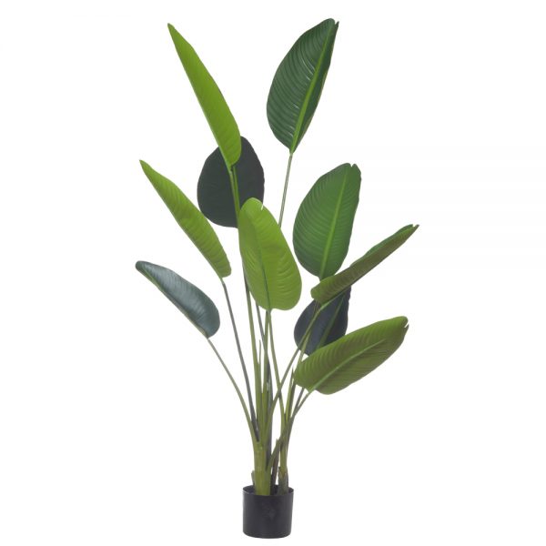 Giant BOP Plant 152cm Green