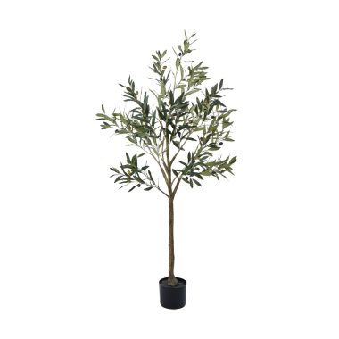 RG Olive Tree 105x31x17 Green
