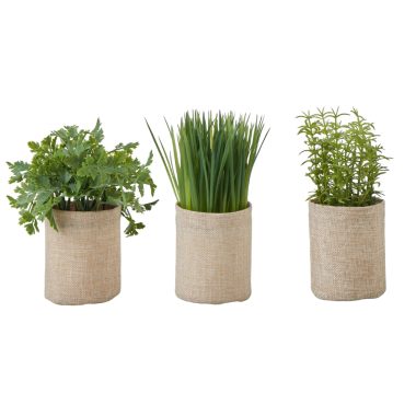 Herbs in Burlap Asst