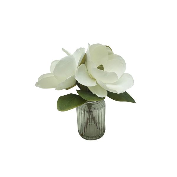 Magnolia 30cm In Glass Vase