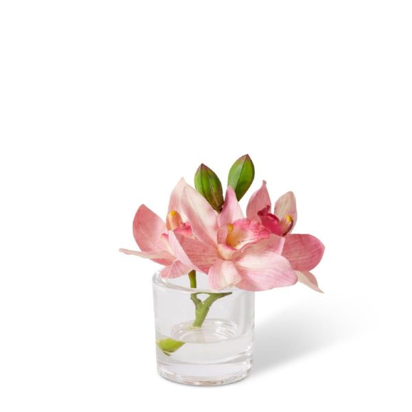 Cymbidium Orchid In Vase Pink