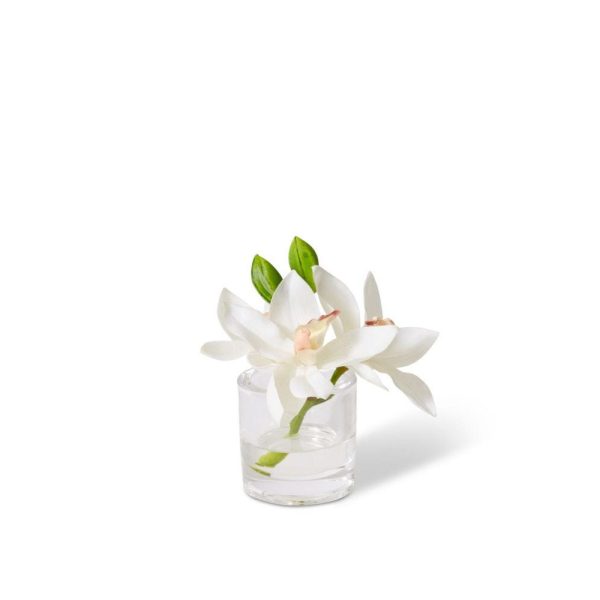 Cymbidium Orchid In Vase White