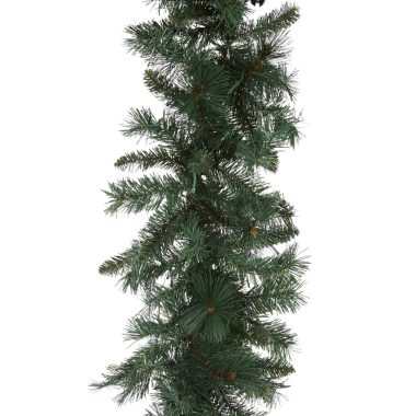 DOUGLAS FIR GARLAND GREEN - 50 LED