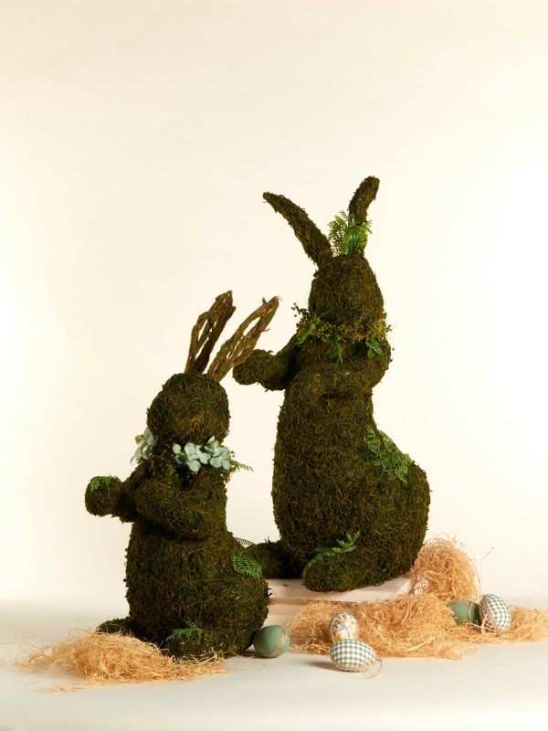 Ferny Rabbit Hopping 57cm