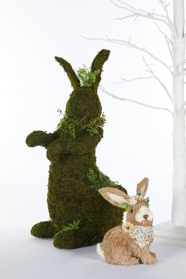 Ferny Rabbit Hopping 57cm