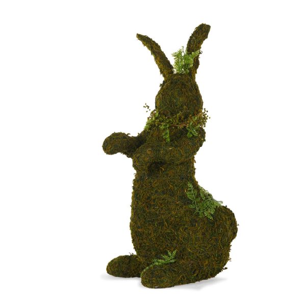 Ferny Rabbit Hopping 57cm