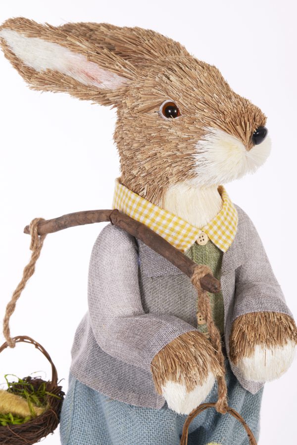 56CM Peter Rabbit With Chick