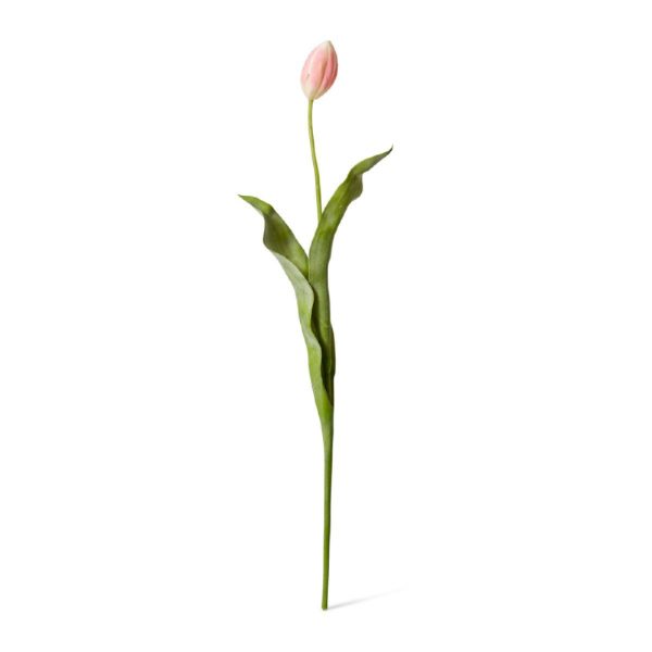 Tulip Stem Pink