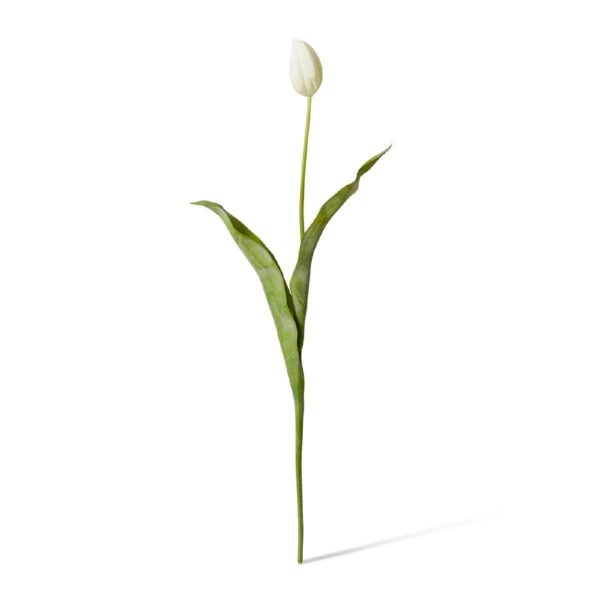 Tulip Stem White