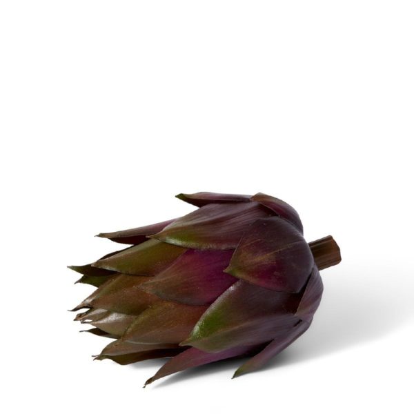 Artichoke