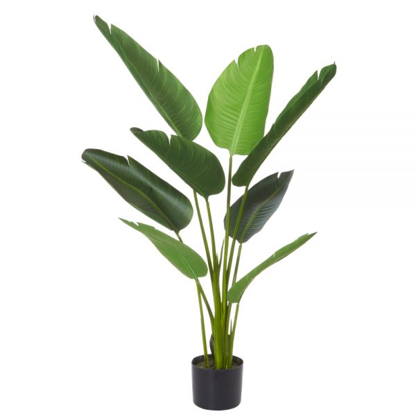 Giant Bop Plant 122cm