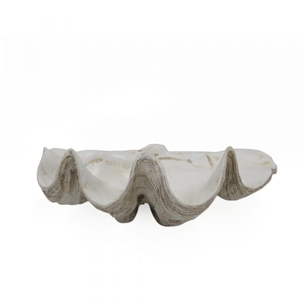 Poly Clam Antique White Medium