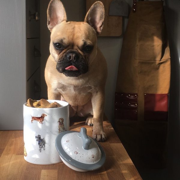 Dog Treat Jar