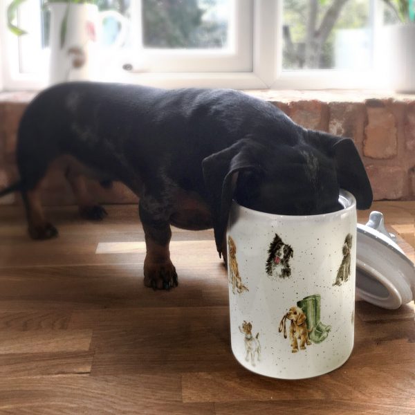 Dog Treat Jar