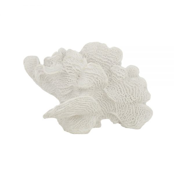 White Poly Foliose Coral