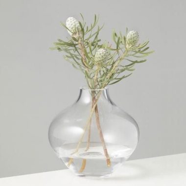 Vases, Jars & Planters