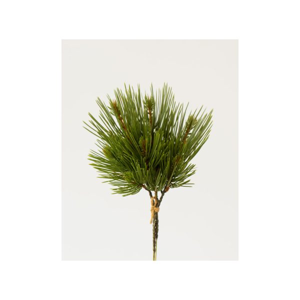 NEEDLE PINE PICK X3 30CM